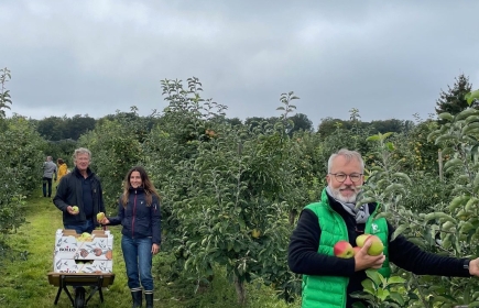 300 kg de pommes pour le "Cent Buttek".